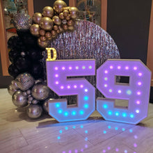Load image into Gallery viewer, 48" Marquee Numbers